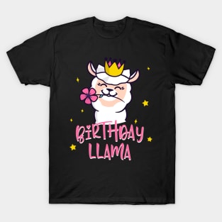 Birthday Llama cute Alpaca Women Gifts T-Shirt